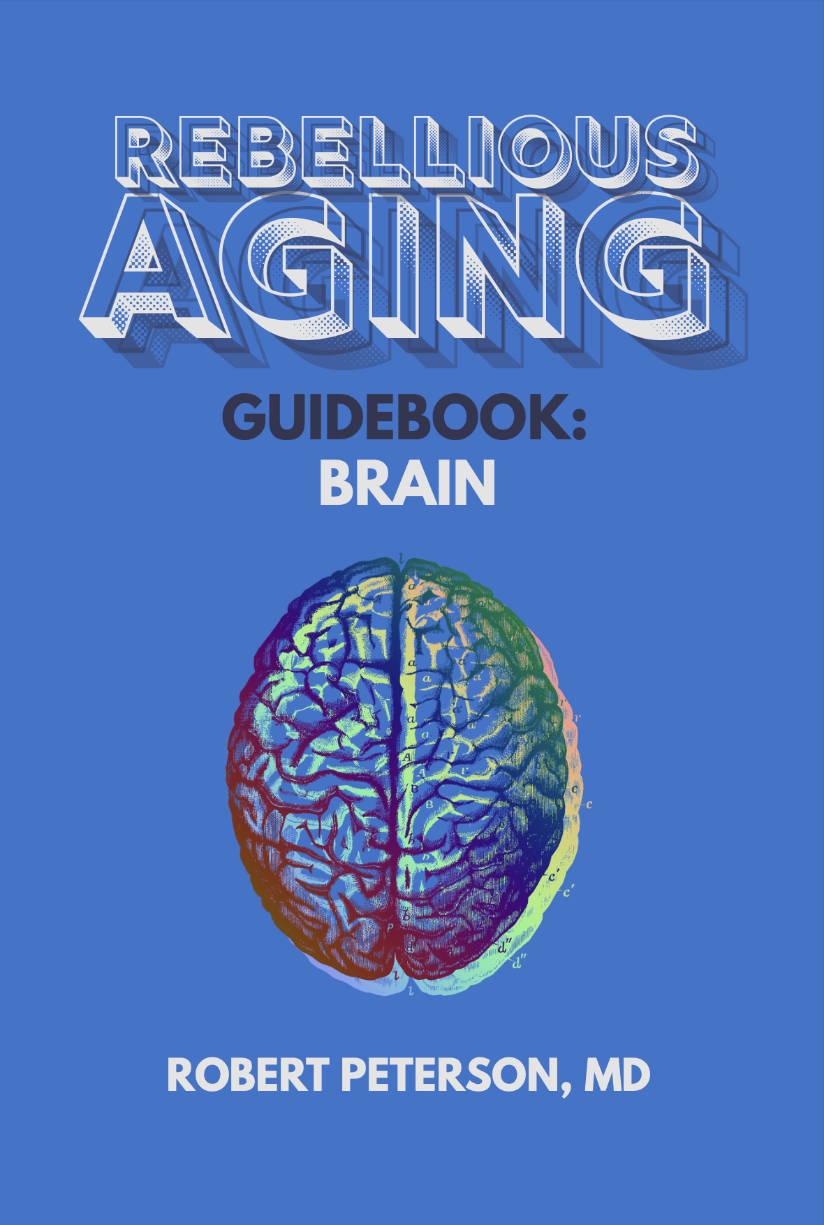 Rebellious Aging Guidebook Series